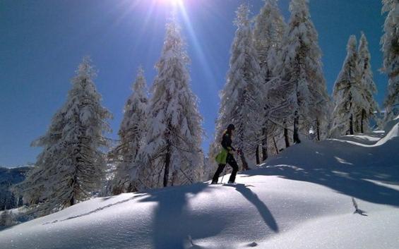 Hotel Seehotel Enzian Weissensee